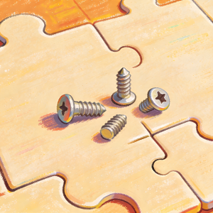 Screw Puzzle